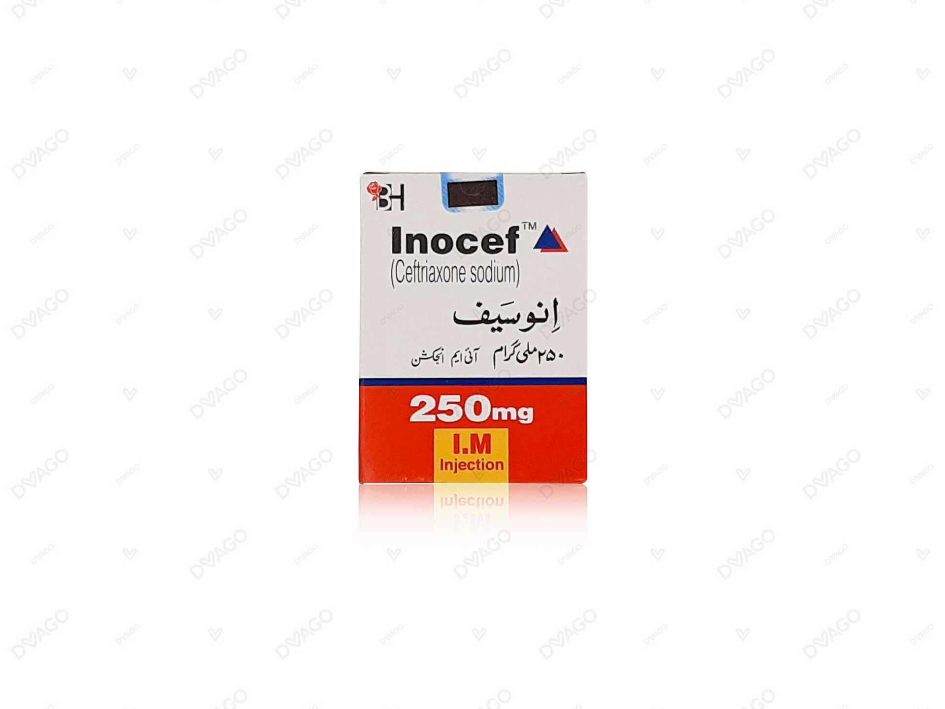 inocef injection im 250 mg 1 vial