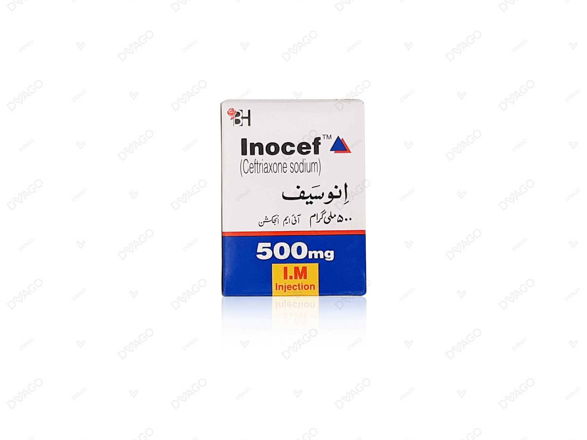 inocef injection 500mg i.m